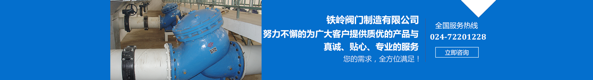 鐵嶺閥門(mén)制造有限公司